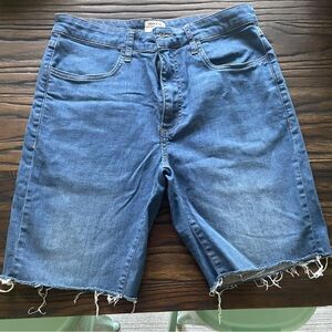 Men’s Ripton Slate Jorts size 32